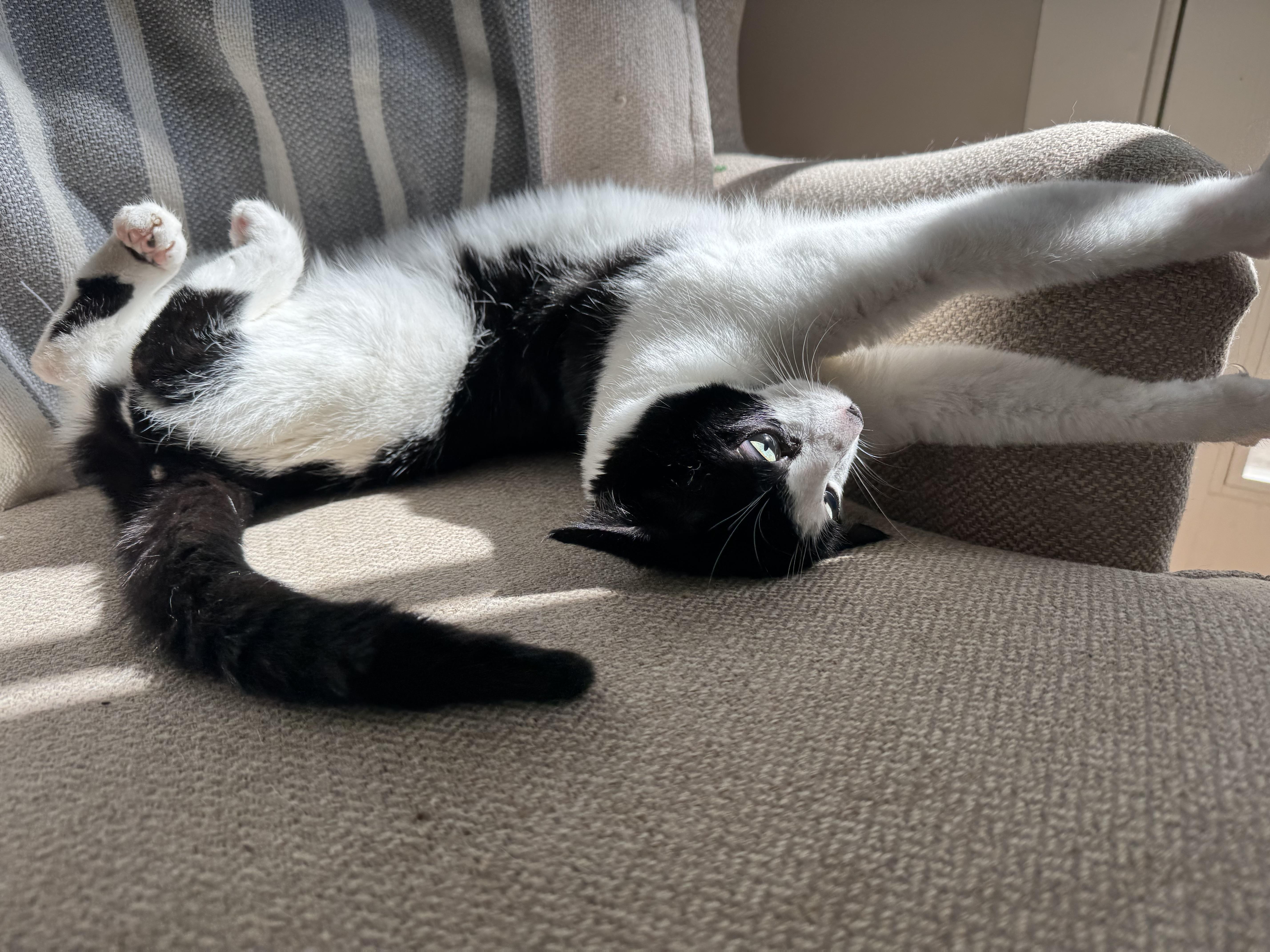 Makamae  Athens  thumbnail 6