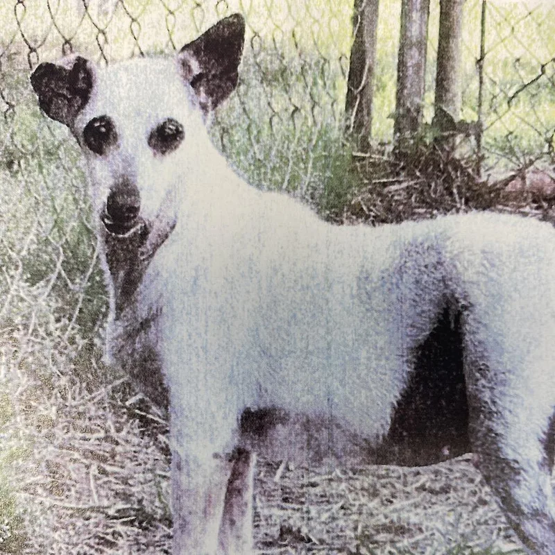 Winnie Winter