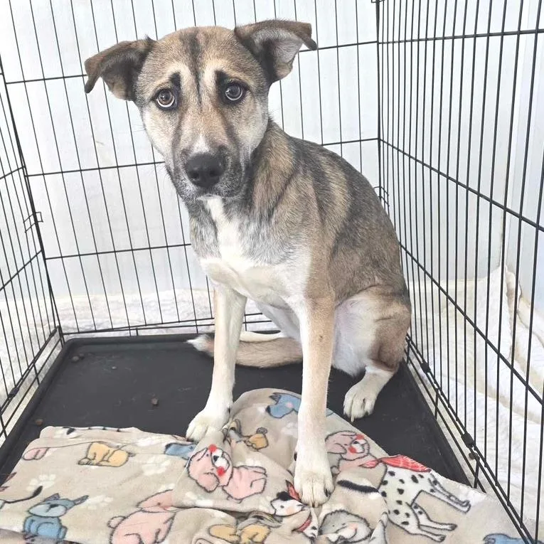 Sasha Jum thumbnail 2