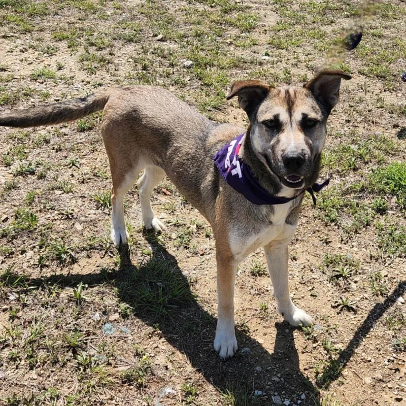 Sasha Jum thumbnail 3