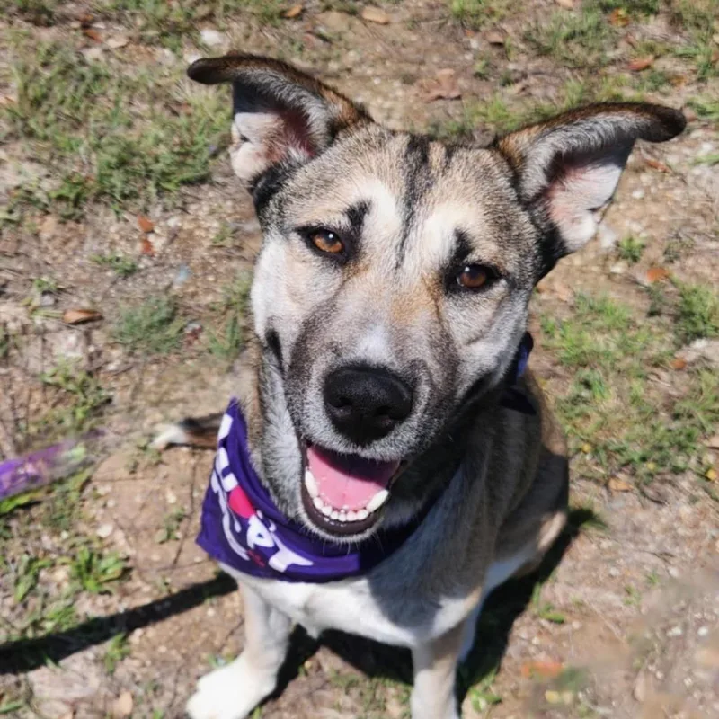 Sasha Jum thumbnail 4