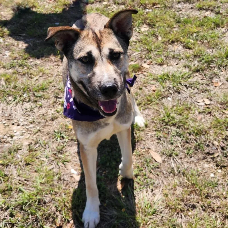 Sasha Jum thumbnail 5