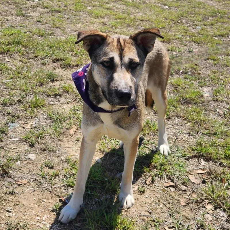 Sasha Jum thumbnail 6