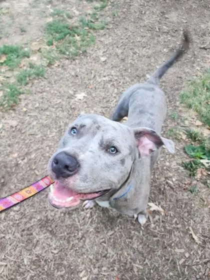 Bruno Bono thumbnail 2