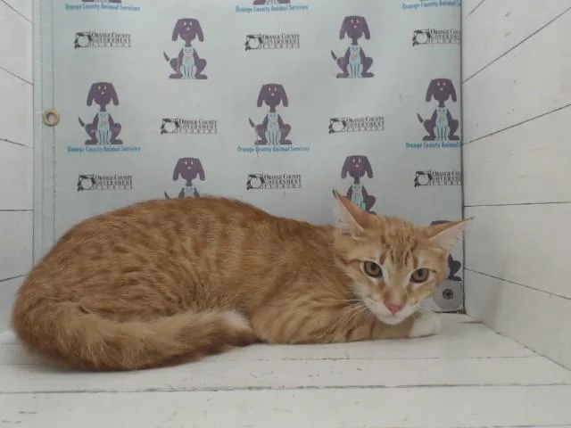 Milo