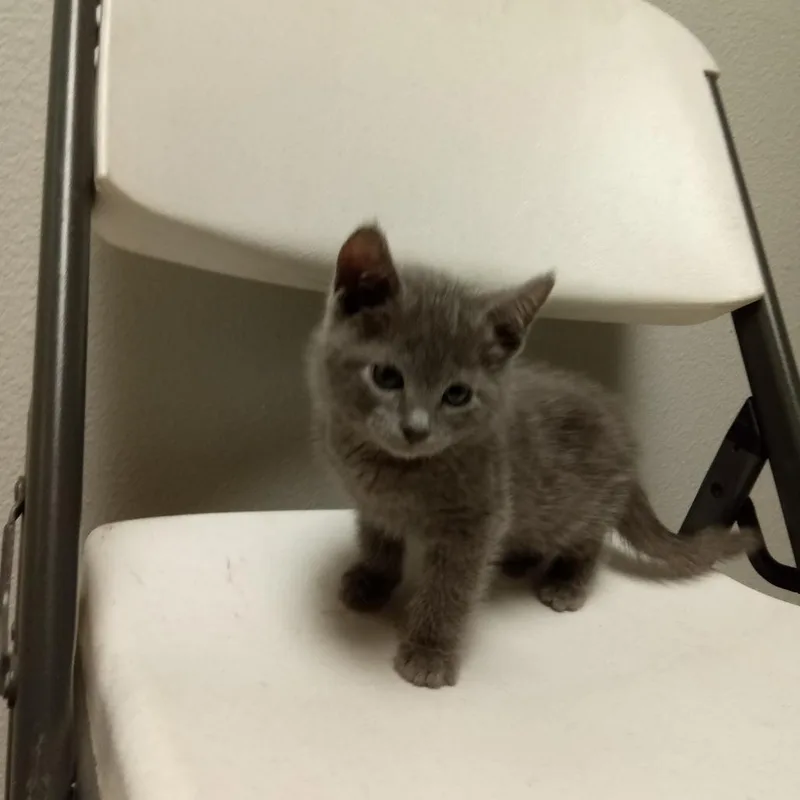 Paddington thumbnail 2