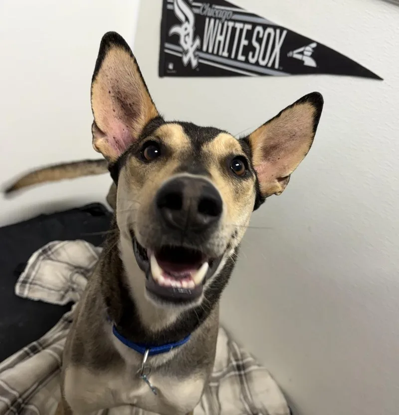 Buster thumbnail 3