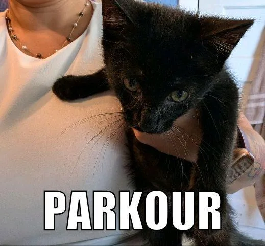 Parkour thumbnail 4