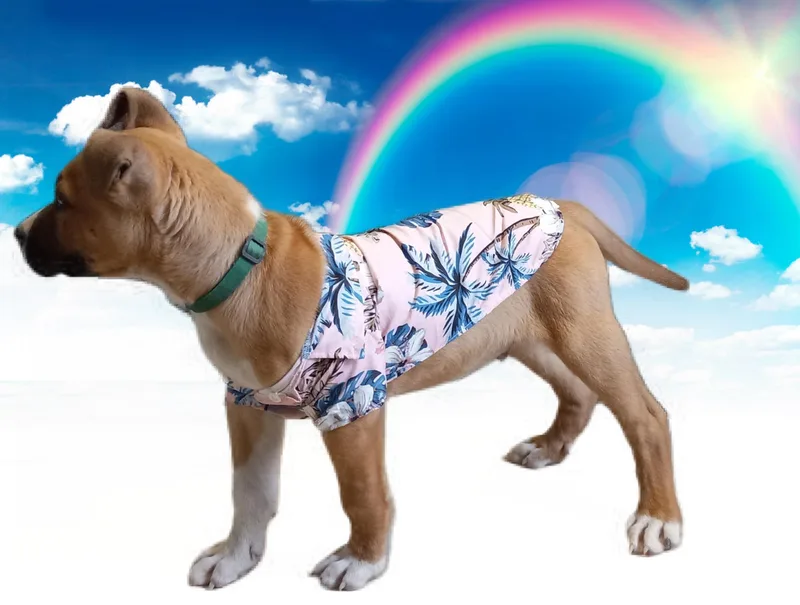 Tucker thumbnail 3