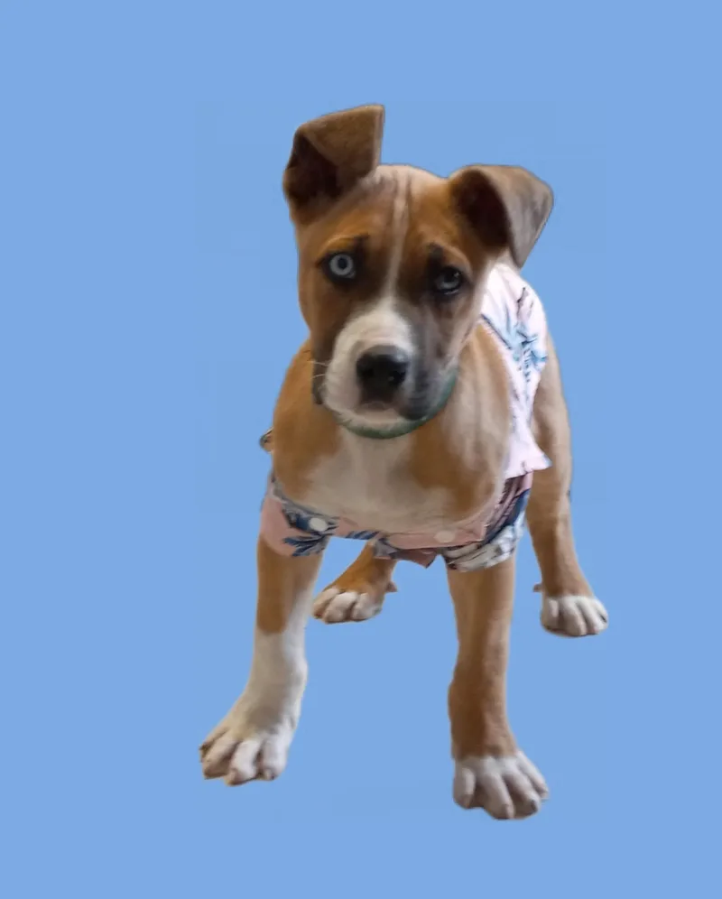Tucker thumbnail 4