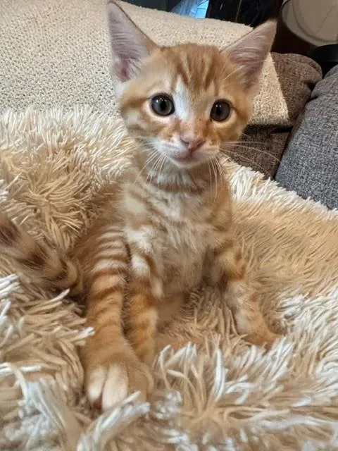 Max