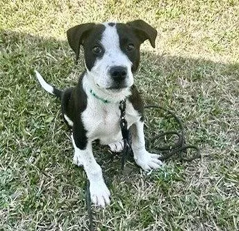 Superman thumbnail 2