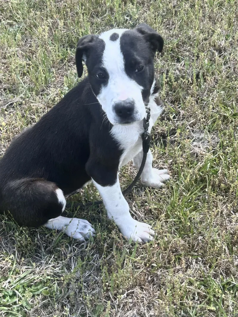 Superman thumbnail 3