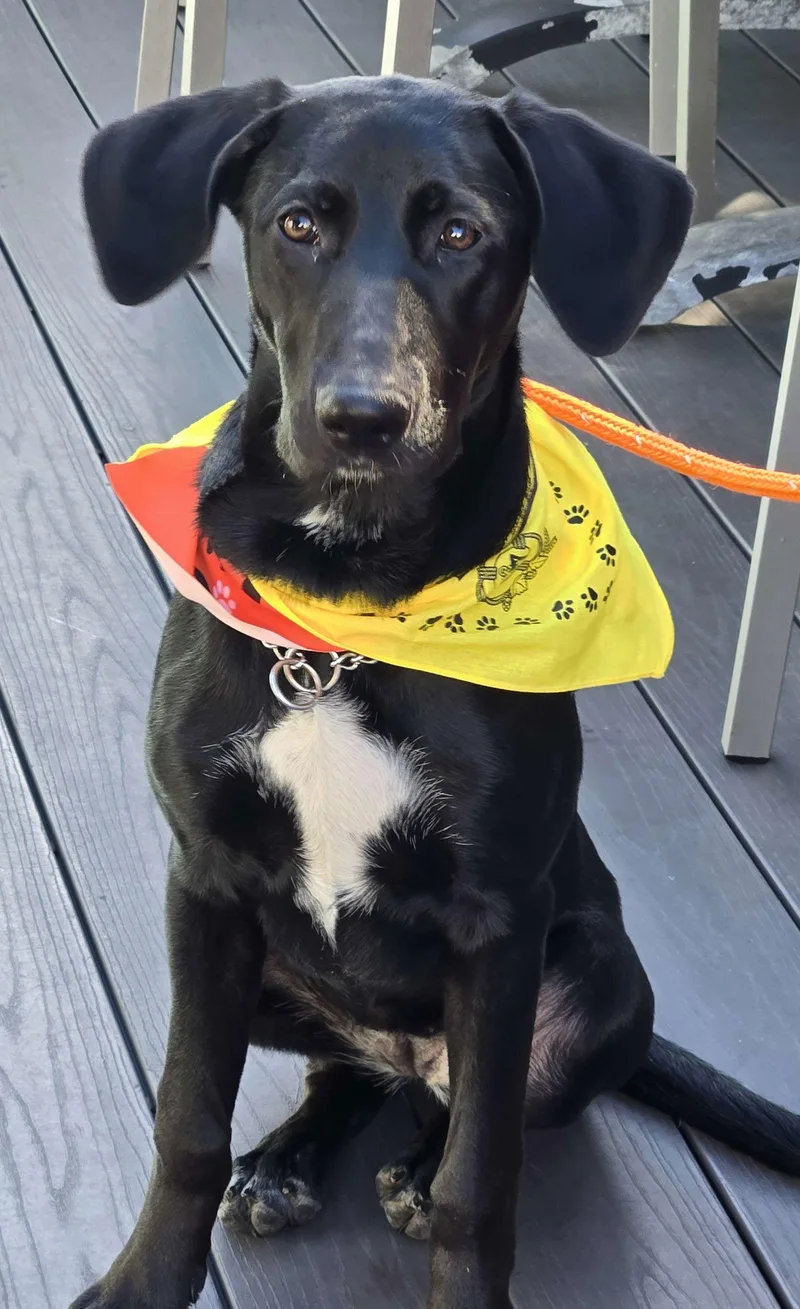 Samantha thumbnail 2