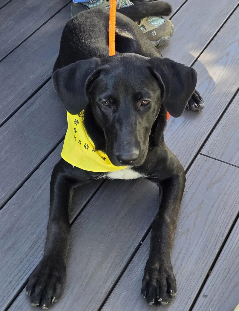 Samantha thumbnail 3