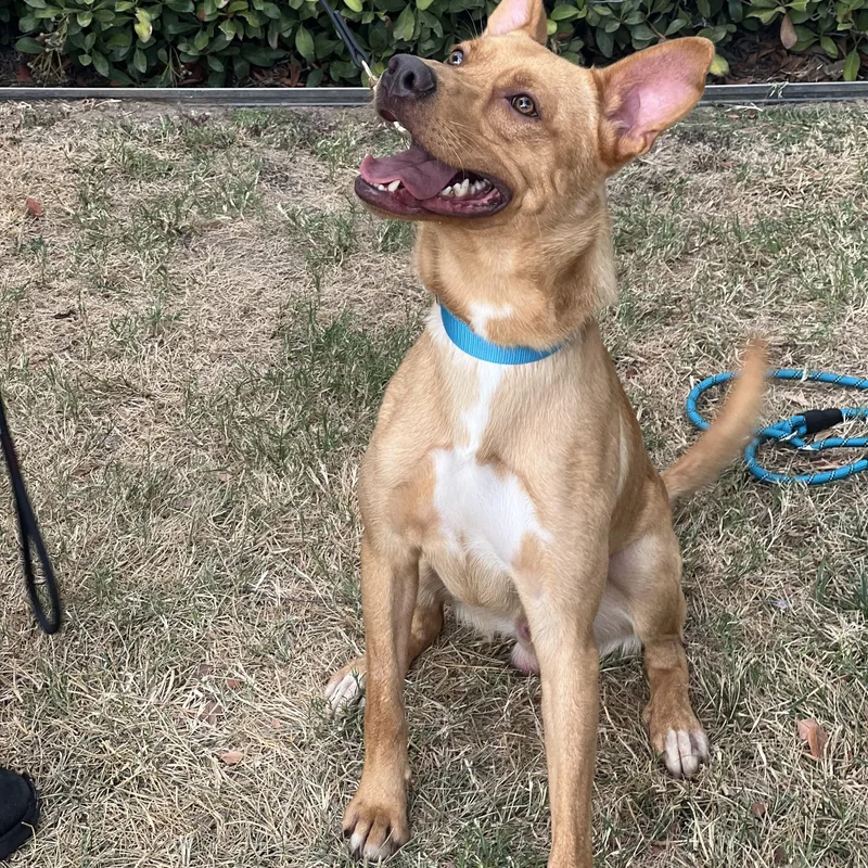 Linus Petite And Affectionate thumbnail 3