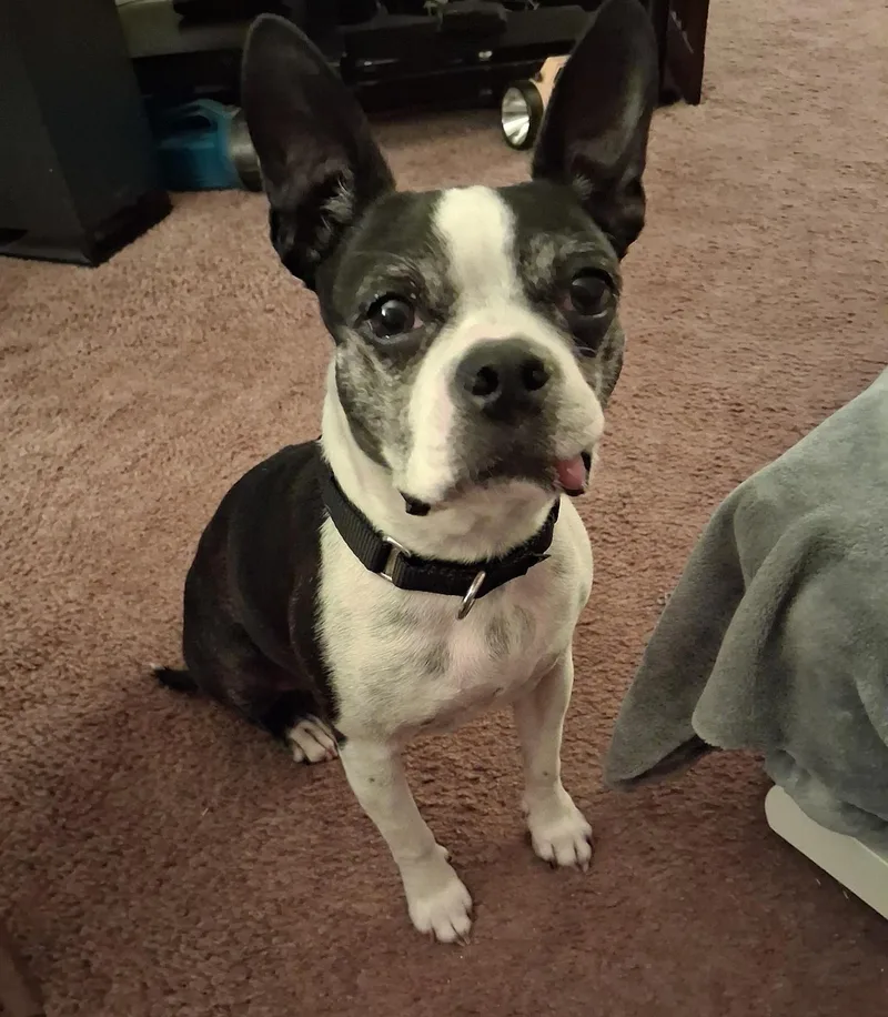 Betty In Mo thumbnail 2