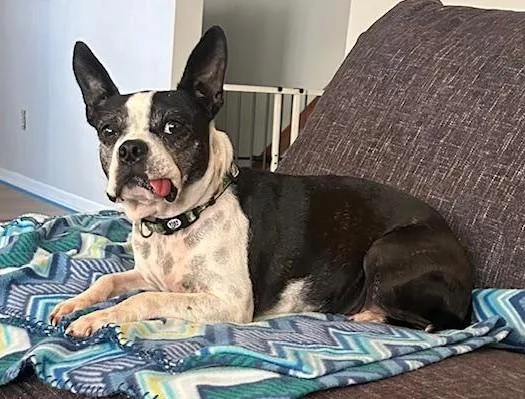 Betty In Mo thumbnail 4