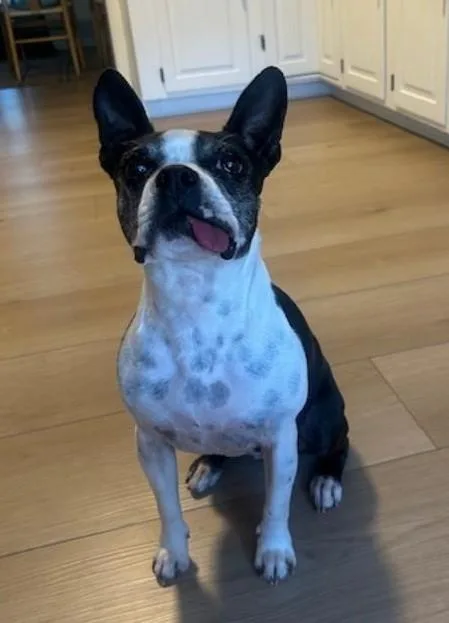 Betty In Mo thumbnail 5