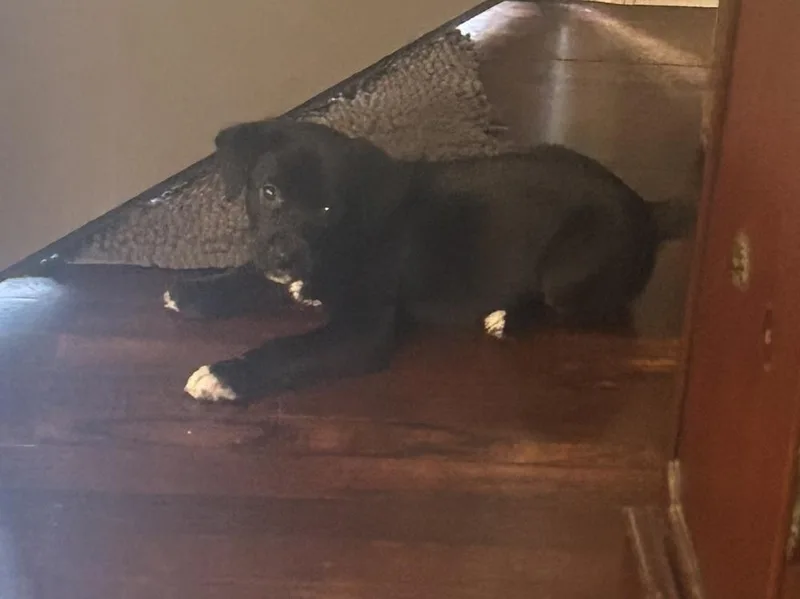 Cosmo