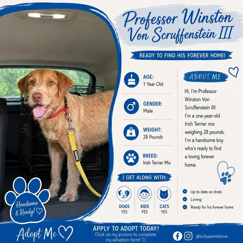 Professor Winston Von Scruffenstein thumbnail 4