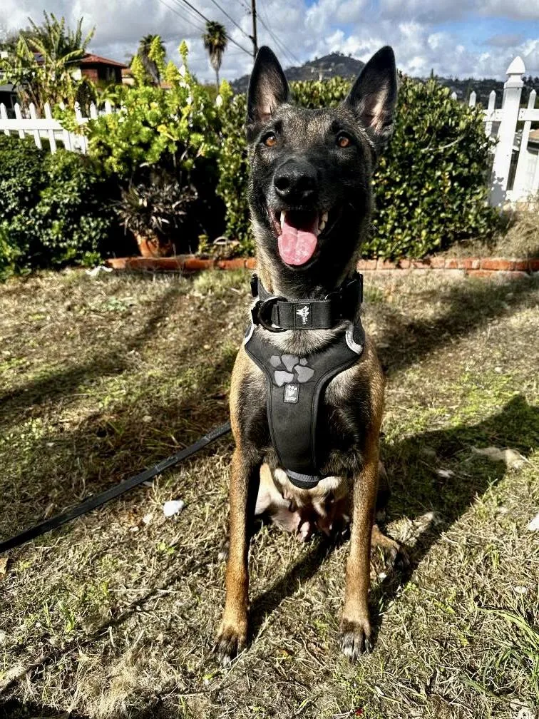 Breckenridge thumbnail 3