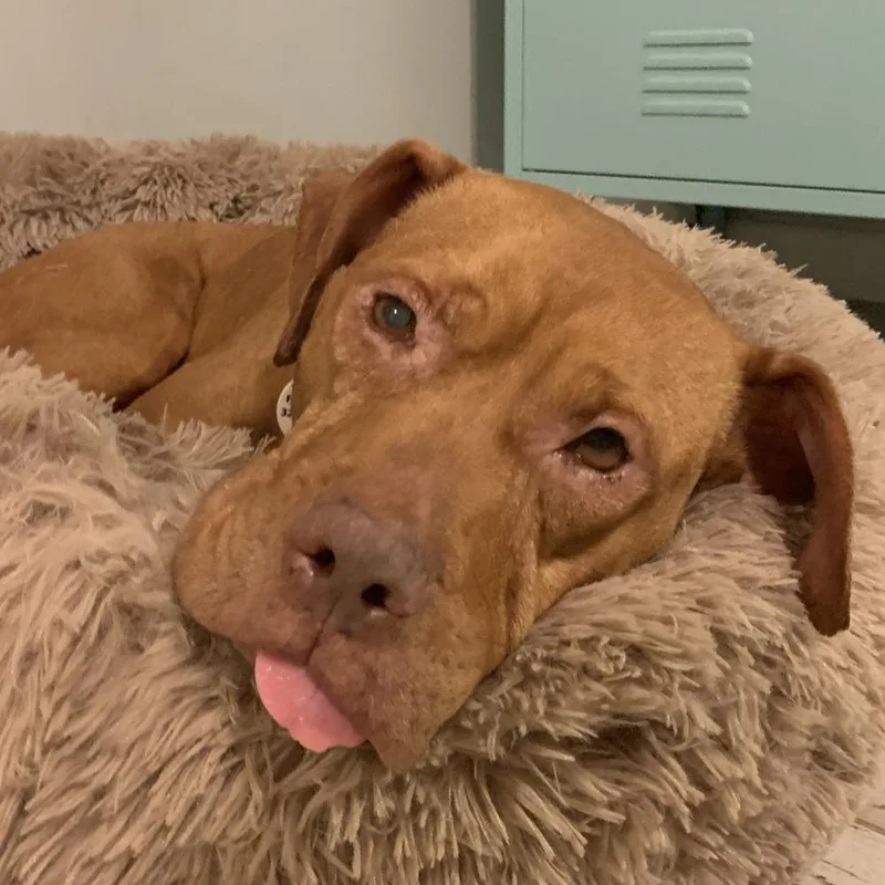 Baby Ruth thumbnail 2