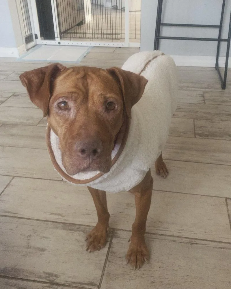 Baby Ruth thumbnail 3