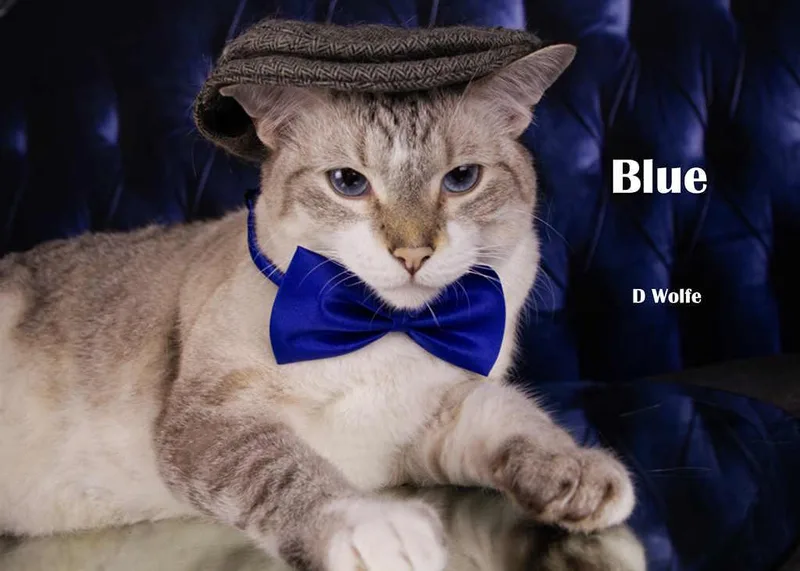 Blue thumbnail 2