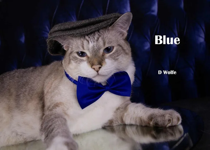 Blue thumbnail 4