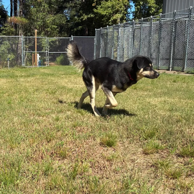Rockie thumbnail 3