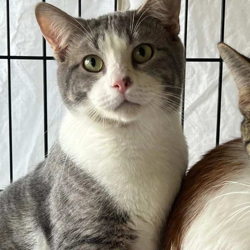 Lugh & Wren thumbnail 2