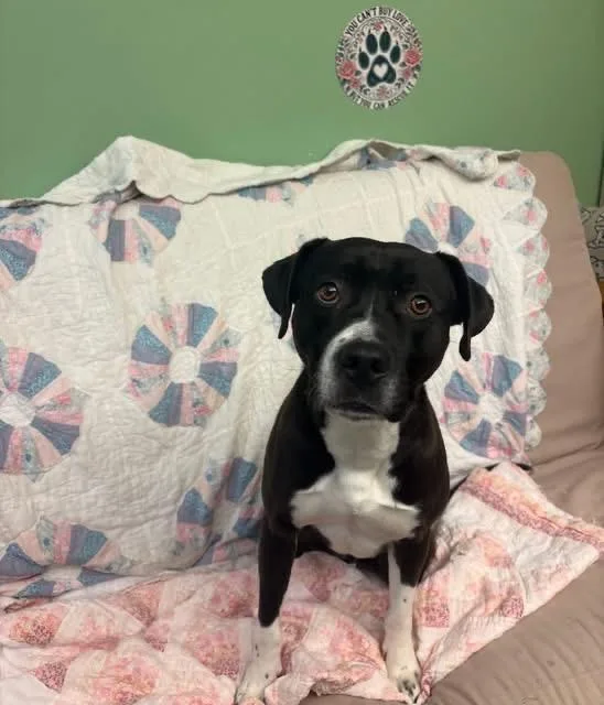 Wild Child thumbnail 2