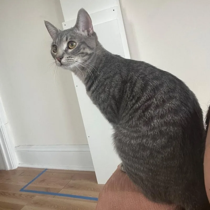 Gummy & Rose thumbnail 2