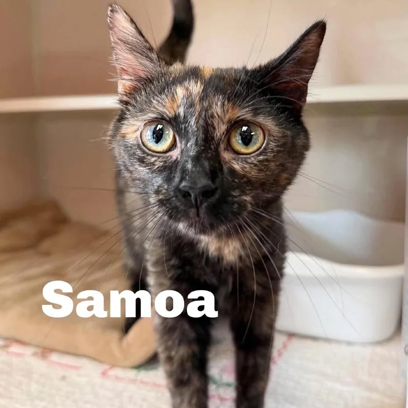 Samoa