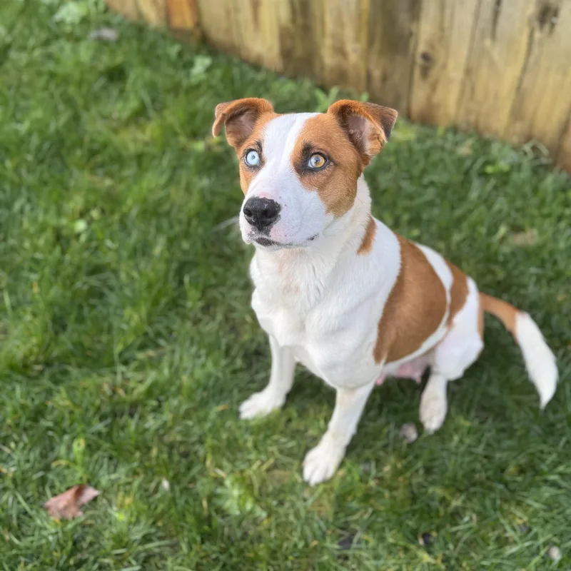 Snow White thumbnail 2