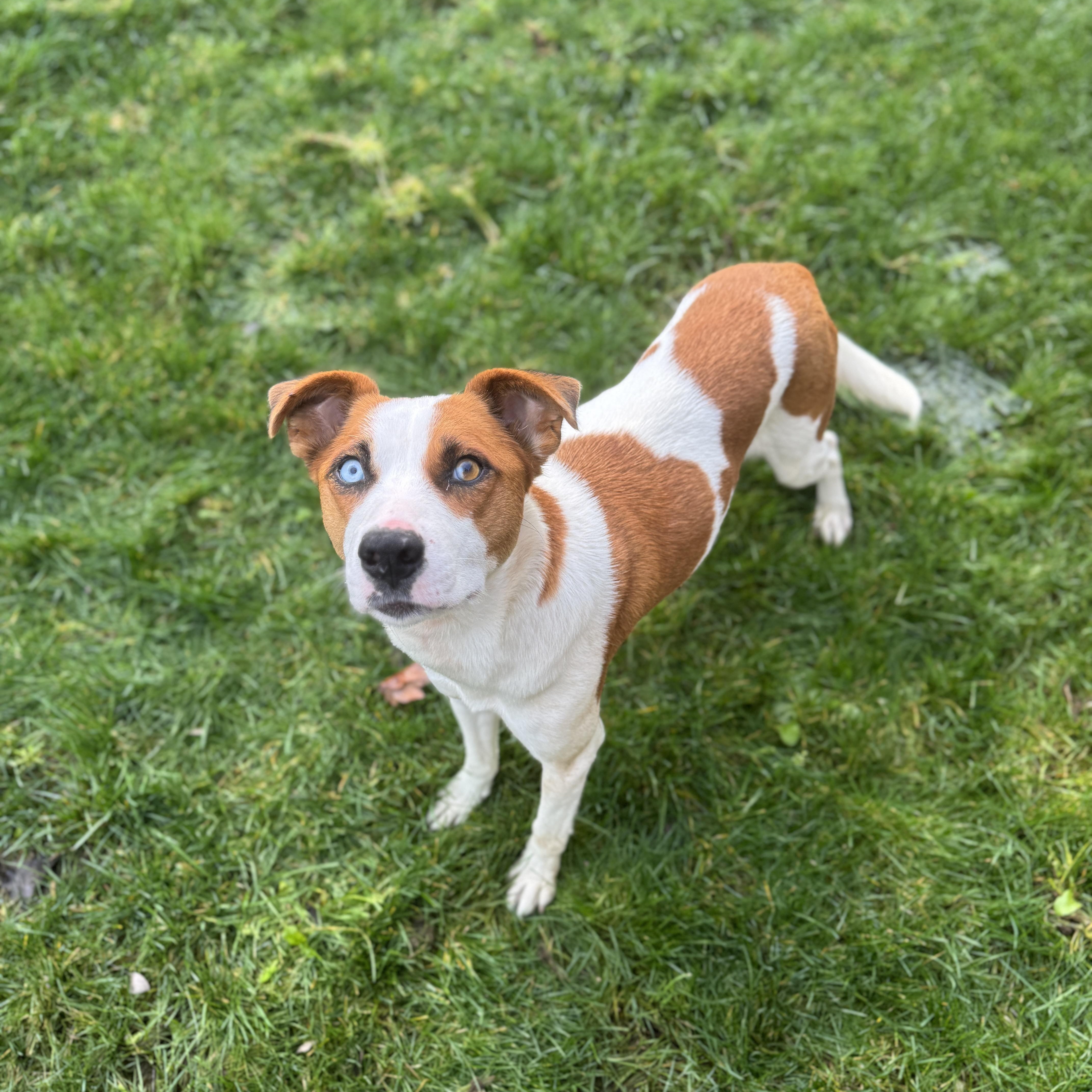 Snow White thumbnail 3