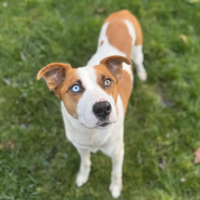 Snow White thumbnail 4