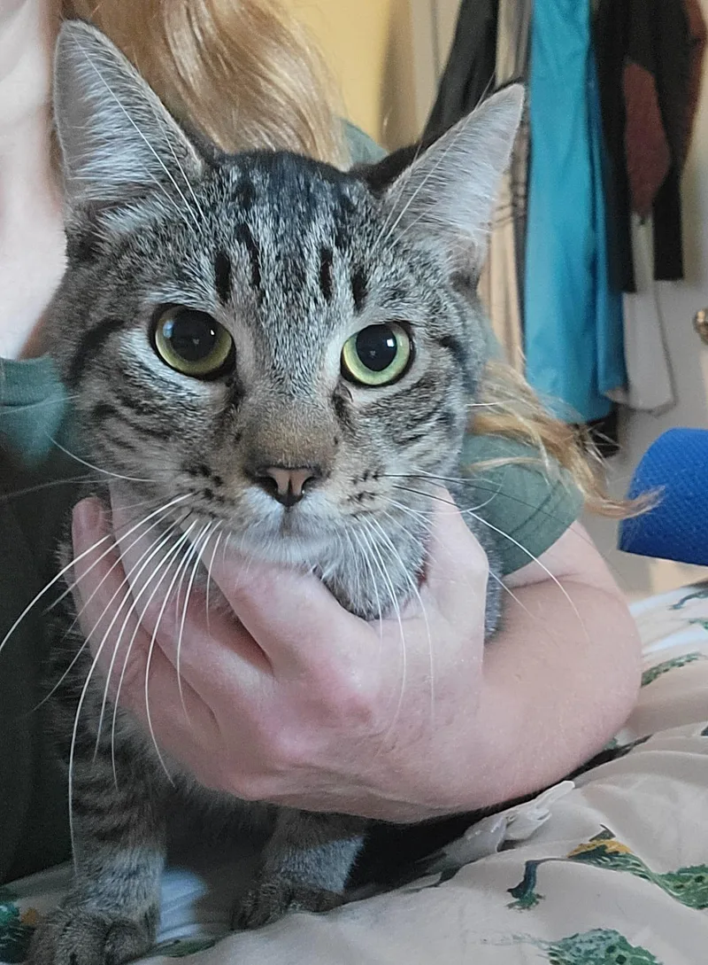 Caffeine thumbnail 2