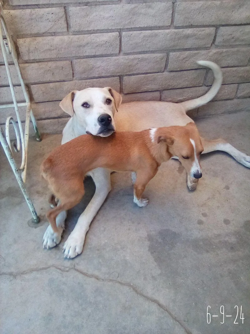 Jingleshis Bff Is Baby