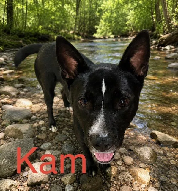 Kam