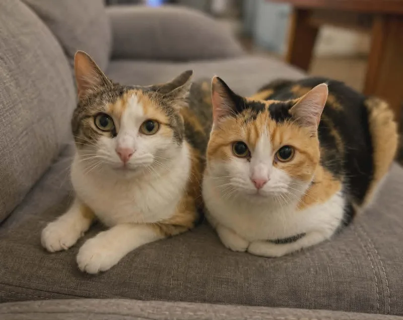 Tina & Tenne
