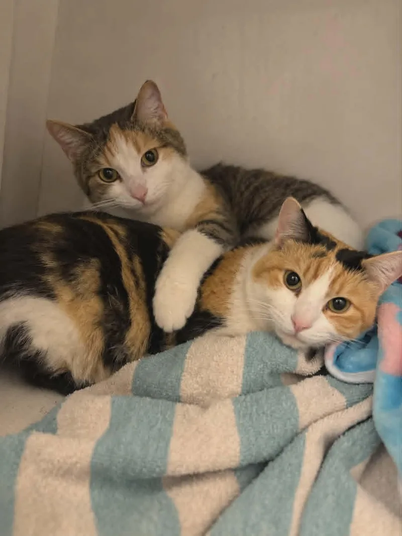 Tina & Tenne thumbnail 2