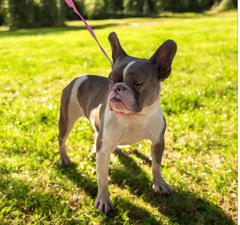 Fiona