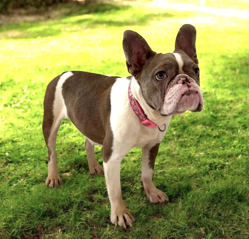 Fiona thumbnail 6