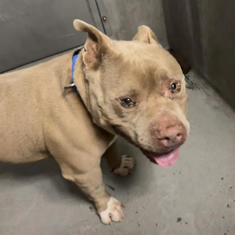 Andrew A thumbnail 2