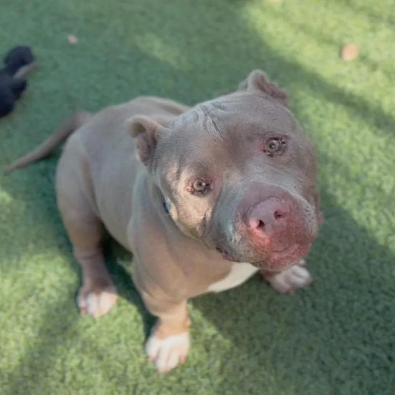 Andrew A thumbnail 3