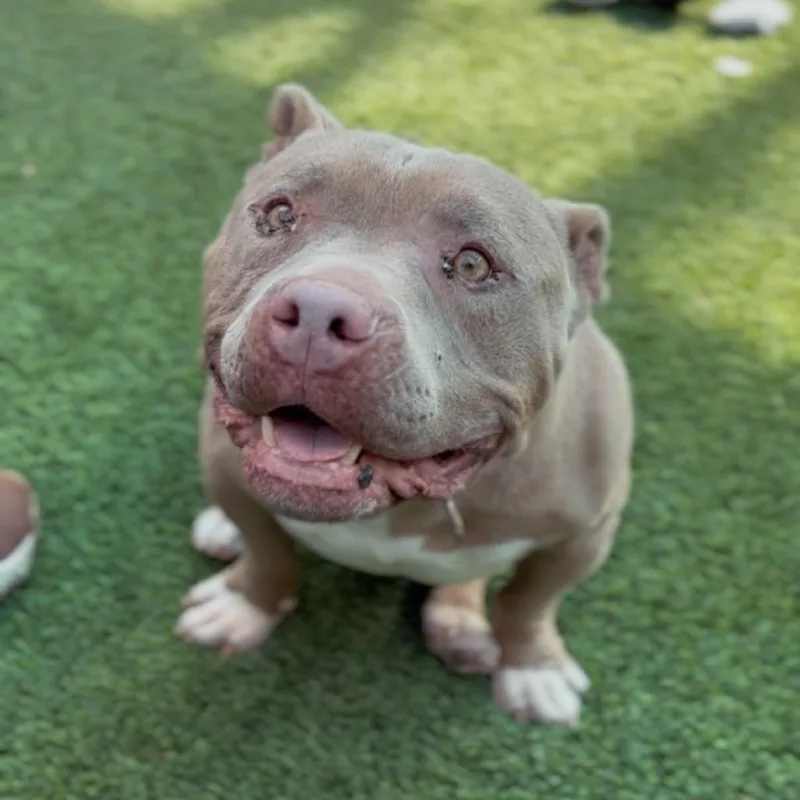 Andrew A thumbnail 4