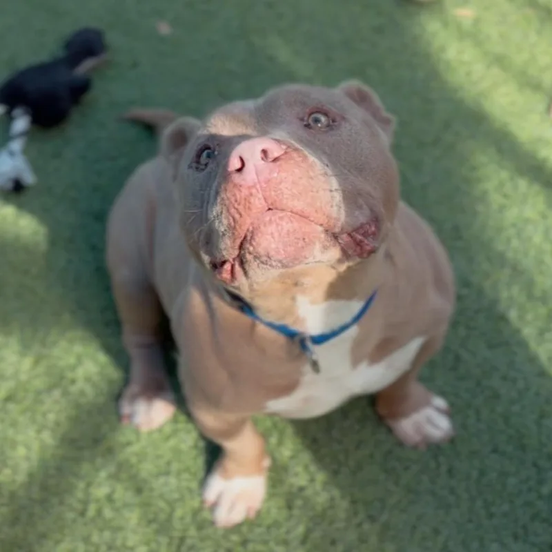 Andrew A thumbnail 5