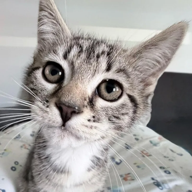 Sojourner thumbnail 2